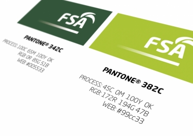FSA Corporativo